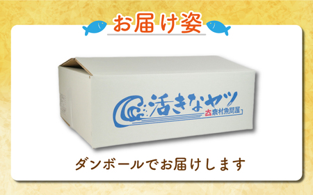 丸ごといわし 約3kg 冷凍 鰯 イワシ