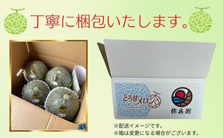 アムスメロン 4玉 メロン