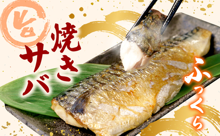 訳あり 塩鯖 3.6kg 鯖