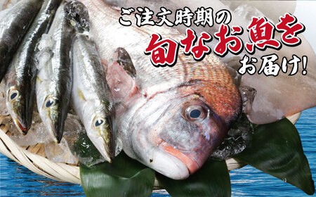 鮮魚ボックス ２kg 鮮魚