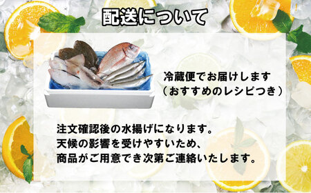 鮮魚ボックス ２kg 鮮魚