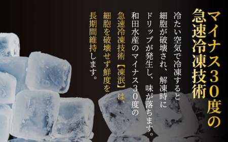 ネギトロ 約640g ネギトロ