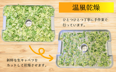 きゃべつ ドライキャベツ 16袋 きゃべつ