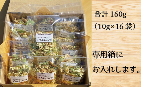 きゃべつ ドライキャベツ 16袋 きゃべつ