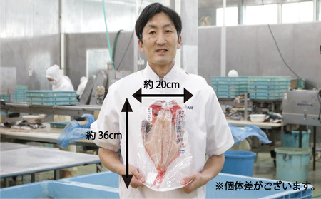 干物 金目鯛 開き 2枚 釣り金目鯛