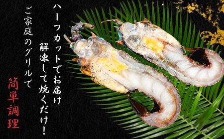 【 伊勢海老 】伊勢海老 1kg