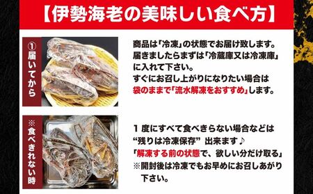 【 伊勢海老 】伊勢海老 1kg