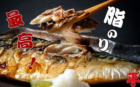 さば文化干し 10枚 鯖