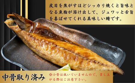 さば文化干し 10枚 鯖
