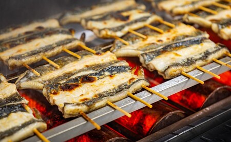 国産うなぎ蒲焼き タレ・山椒付き 5枚 約90g×5 鰻 鰻 鰻 鰻 鰻 石毛川魚店