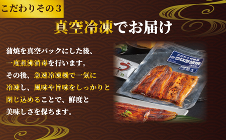 国産うなぎ蒲焼き タレ・山椒付き 2枚 1枚約100g 定期便3回 鰻 鰻 鰻 鰻 鰻 石毛川魚店