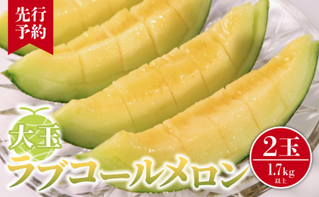 メロン 大玉 ラブコールメロン 2玉 【先行予約】
