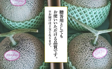 メロン 大玉 ラブコールメロン 2玉 【先行予約】