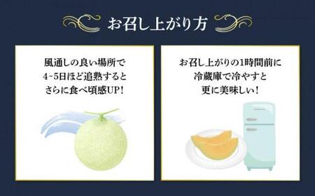 メロン 大玉 ラブコールメロン 2玉 【先行予約】