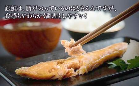 甘口 銀鮭 18切 鮭