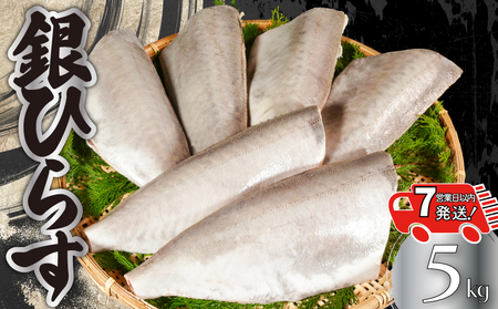 【 スピード配送 】 銀ひらす 5kg ひらす 8,875円