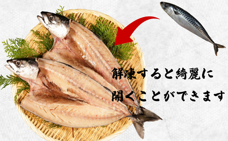 一汐サバ 4尾 サバ