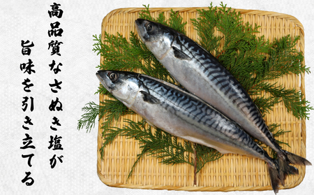 一汐サバ 4尾 サバ