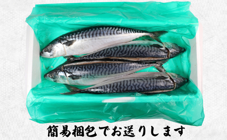一汐サバ 4尾 サバ
