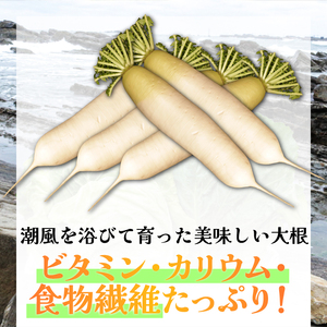 大根 8～10本 大根 【先行予約】 