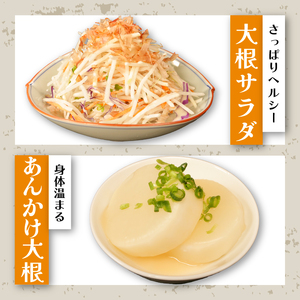 大根 8～10本 大根 【先行予約】 