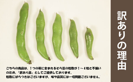先行予約 訳あり そら豆 朝採れ 約4kg そら豆 そら豆 そら豆 そら豆 そら豆 そら豆 孝農園 【令和8年5月上旬～6月上旬頃発送予定】