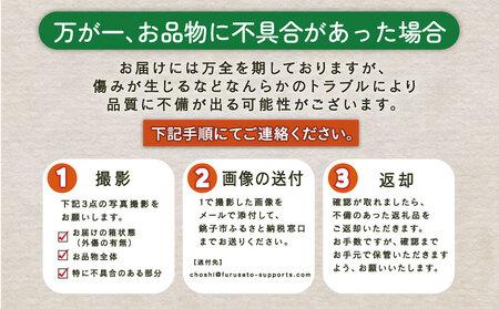 先行予約 訳あり そら豆 朝採れ 約4kg そら豆 そら豆 そら豆 そら豆 そら豆 そら豆 孝農園 【令和8年5月上旬～6月上旬頃発送予定】