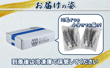 訳あり 国産 さんま20尾 【 さんま 】 一政水産