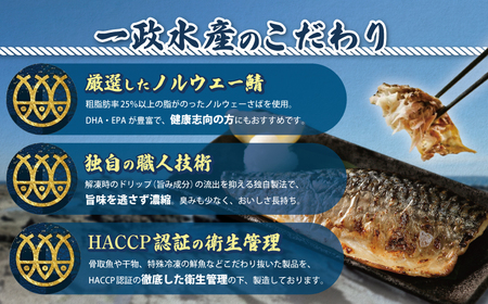 干物 【訳あり】 魚詰め合わせ 12枚 干物