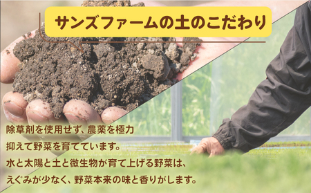 とうもろこし おおもの 5kg 【先行予約】 とうもろこし