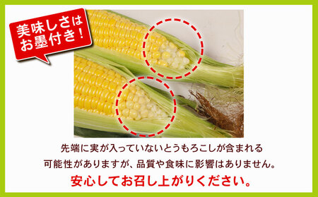 とうもろこし おおもの 5kg 【先行予約】 とうもろこし