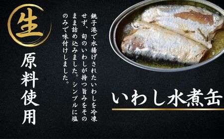 缶詰 国産さば いわし 12個 缶詰