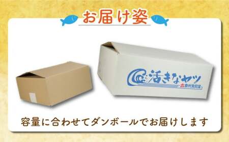 カットヤリイカ 約1.2kg イカ