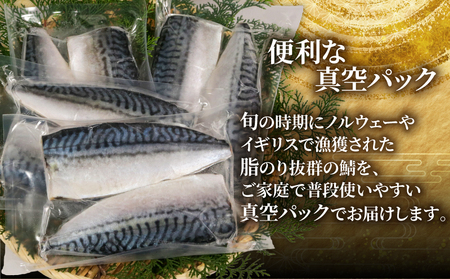 訳あり 腹骨取り 塩サバ 真空パック 8枚 サバ