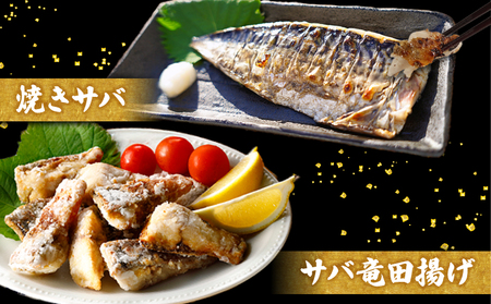 訳あり 腹骨取り 塩サバ 真空パック 8枚 サバ