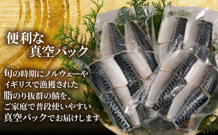 訳あり 腹骨取り 塩さば 真空パック 計16切（4切入×4パック） さば