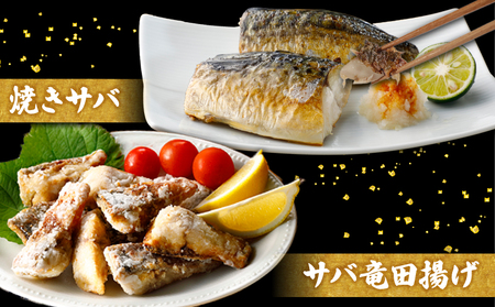 訳あり 腹骨取り 塩さば 真空パック 計16切（4切入×4パック） さば