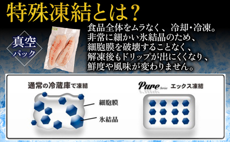 ヒラメ 約1kg ヒラメ