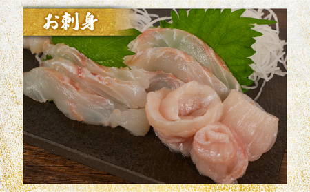 ヒラメ 約1kg ヒラメ