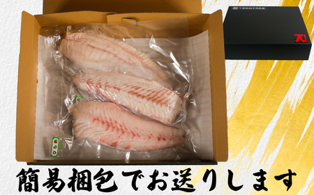 ヒラメ 約1kg ヒラメ