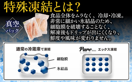 真鯛＆平目フィーレ 食べ比べセット  約1kg 平目 鯛