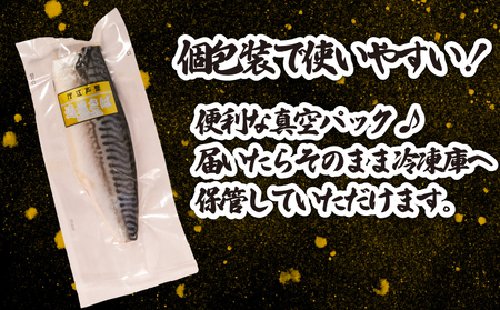 適塩さば 純米酒仕込 真空 12枚 さば