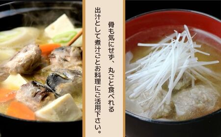 【 缶詰 】 とろイワシ水煮 8個 | 缶詰