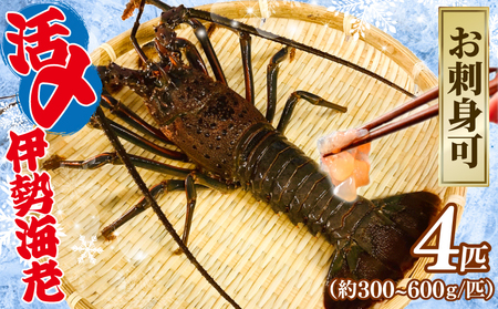 【 伊勢海老 】 活〆冷凍伊勢海老 4匹