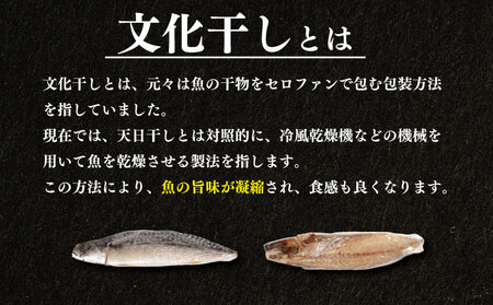 サバ文化干し 8枚 サバ