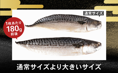 サバ文化干し 8枚 サバ