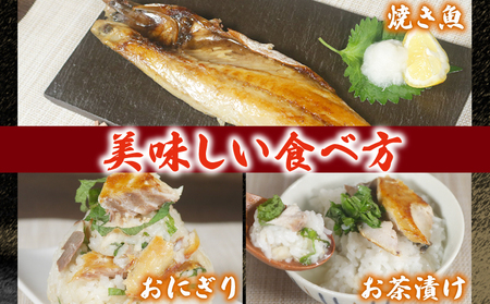 サバ文化干し 8枚 サバ