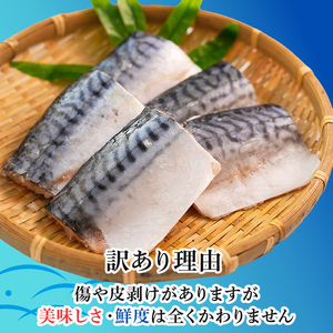 訳あり 塩サバ 腹骨取り 切身 約3.5kg 【9月以降配送】 サバ