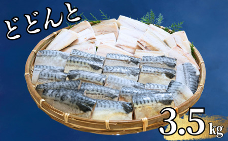 訳あり 霜降り塩サバ 約3.5kg 【12月以降配送】 サバ