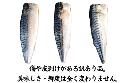 訳あり 食塩不使用 さば フィーレ 3.5kg 【10月以降配送】 さば
